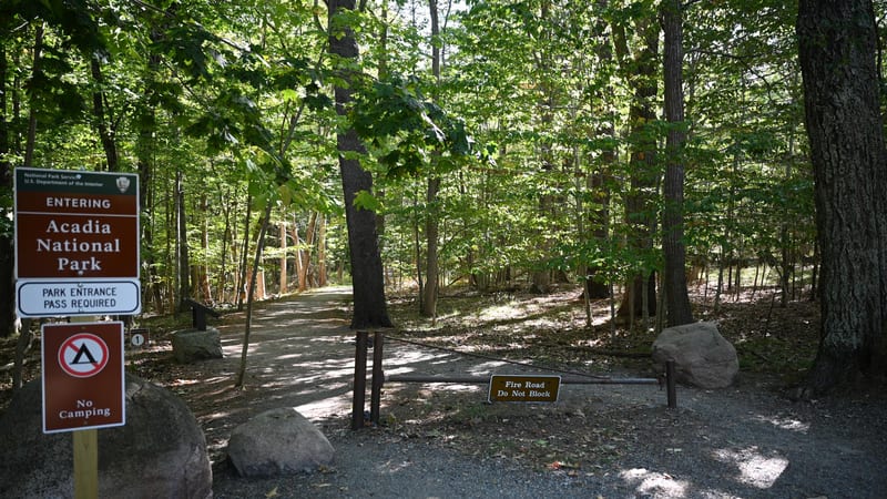 The entrance to Acadia National Park shown through a wooded gravel path flanked by boulders and brown NPS signage, with dappled sunlight filtering through a …