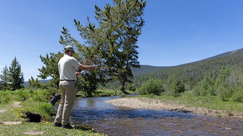A fly fisherman casts his line over a clear mountain stream winding through a green valley, framed by tall conifers and forested hillsides under bright midda…