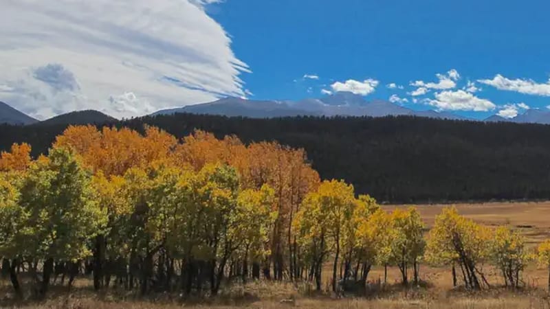 Rocky Mountain National Park Glacier Basin Campground