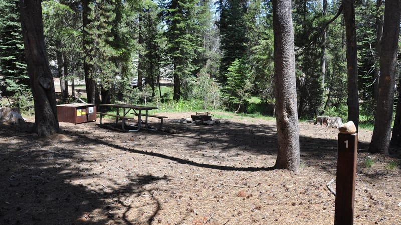 Yosemite Creek Campground