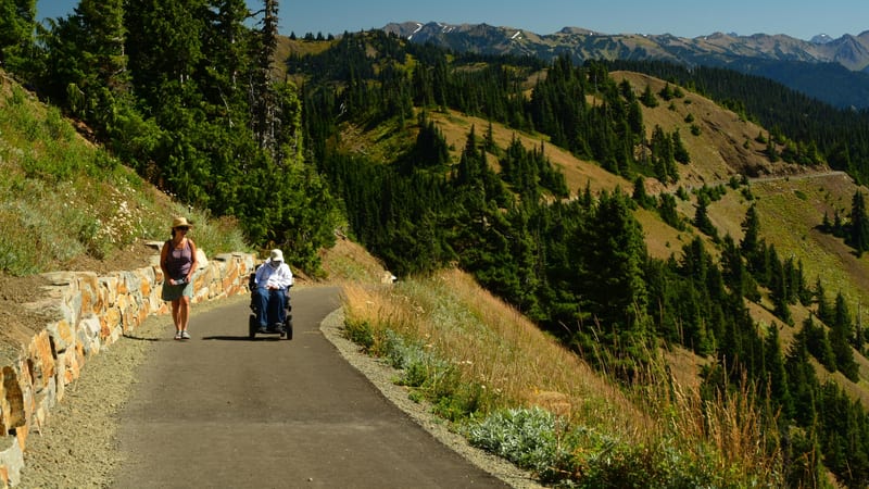 A paved accessible path winds along a mountainside at Hurricane Ridge in Olympic National Park, with dense evergreen forests, golden meadow slopes, and snow-…