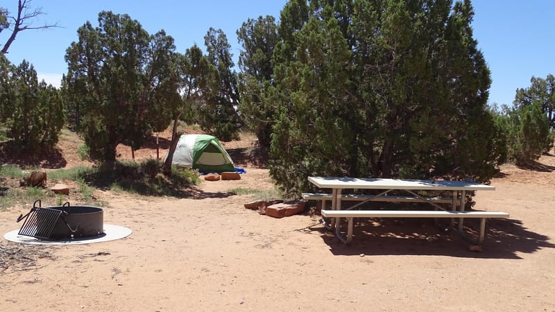 Primitive campsites at Cedar Mesa Campground