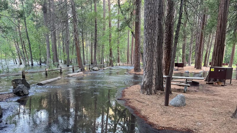 North Pines Campground