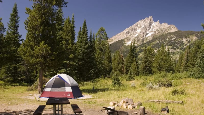 Jenny Lake Campground