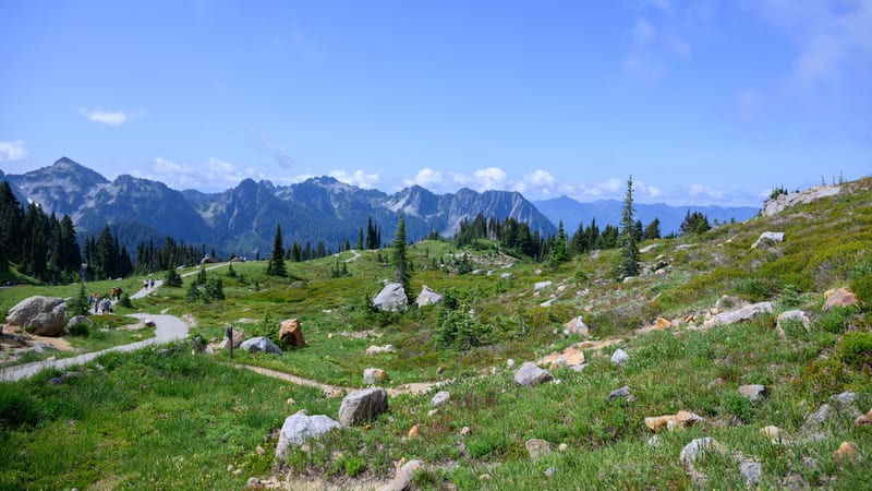 Hikers walk a paved path through a rocky subalpine meadow with scattered evergreen trees and a jagged mountain ridgeline in the background under a clear blue…