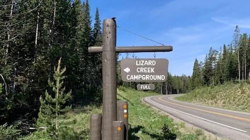 Lizard Creek Campground