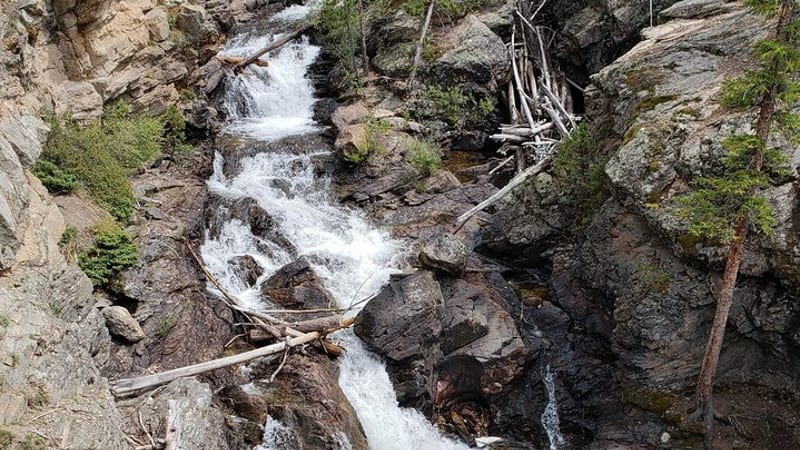Private and Personalized Three Hour Morning Tour of Rocky Mountain National Park
