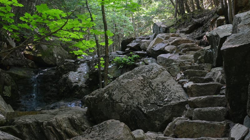 A rocky stream cascade tumbles over moss-covered granite boulders alongside a rugged stone-step trail in a dense northeastern forest.