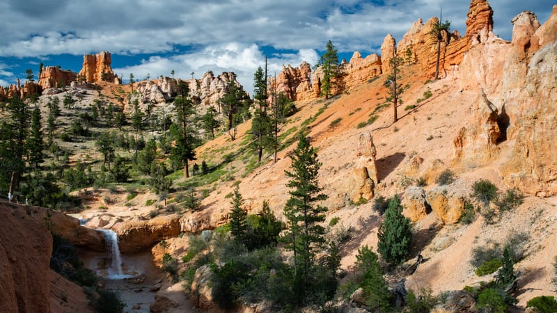 A canyon landscape with vivid orange and red hoodoo spires rising above sandy slopes dotted with pine trees, with a small waterfall cascading over an orange …