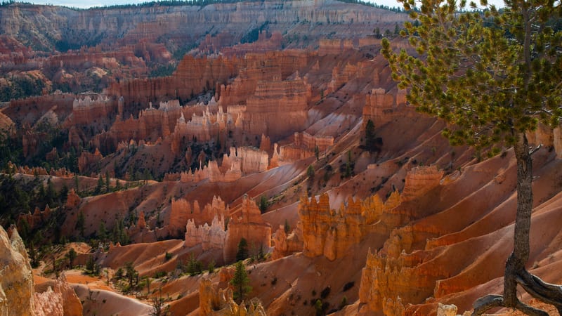 Sunrise Point