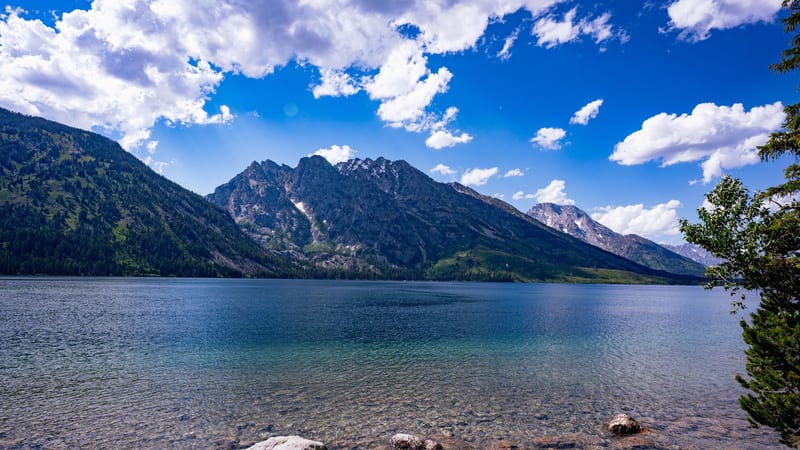 Jenny Lake Overlook