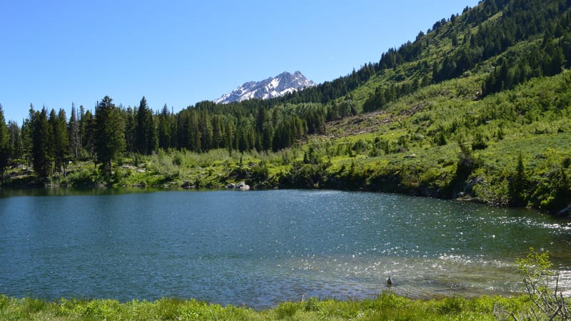 A small alpine lake sits nestled in a green mountain valley surrounded by dense conifer forest, with a snow-capped rocky peak visible in the background under…