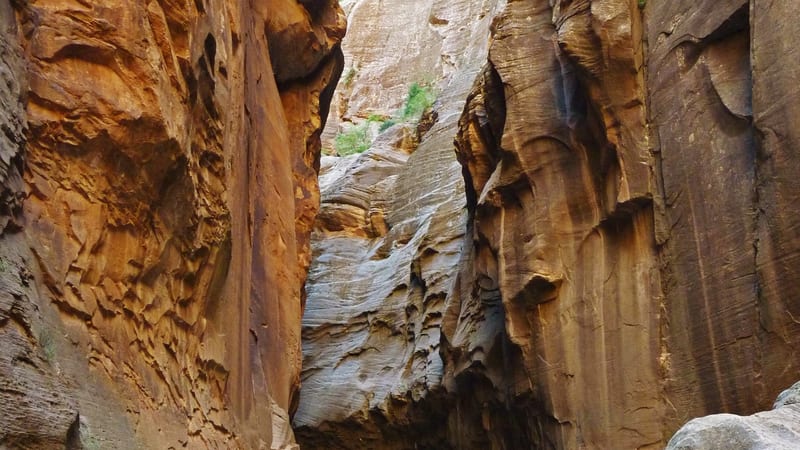 The Narrows (Temple of Sinawava)