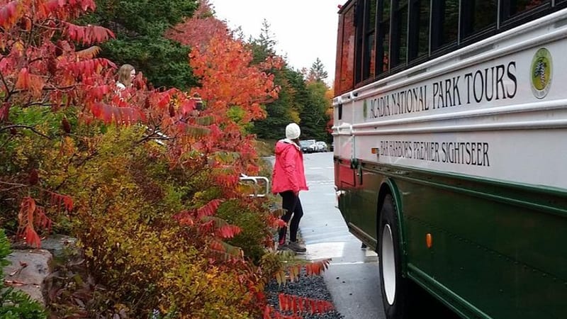 Narrated Bus Tour of Bar Harbor and Acadia National Park