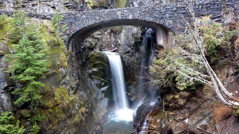 Christine Falls