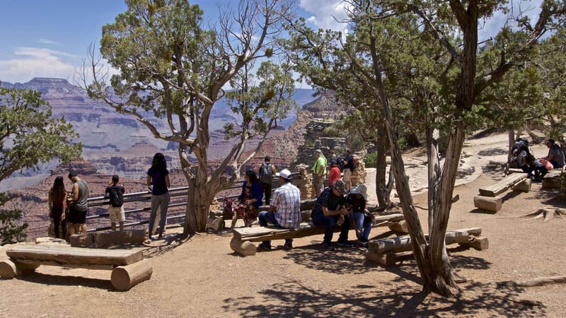 Tourists gather at a fenced overlook on the South Rim of the Grand Canyon, seated on rustic log benches beneath gnarled juniper trees while the layered red a…