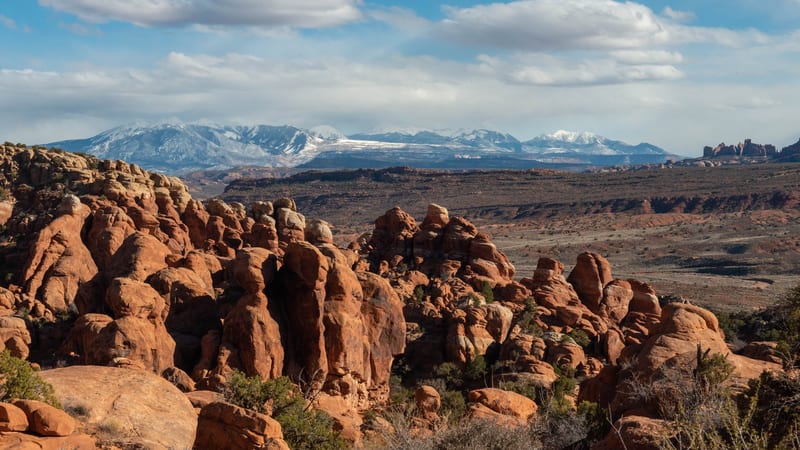 A desert landscape in Arches National Park featuring orange-red sandstone fins in the foreground, with snow-capped La Sal Mountains behind.
