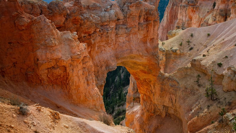 Natural Bridge