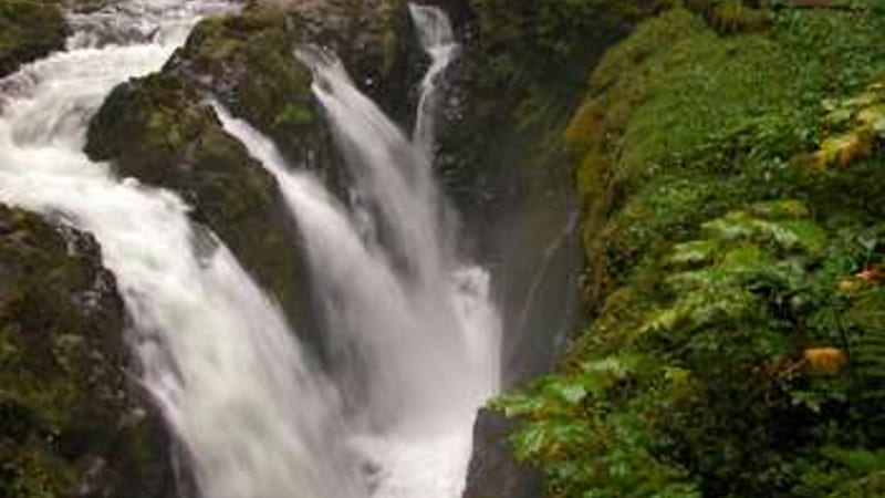 A multi-channel waterfall splits over mossy basalt ledges and drops into a narrow gorge, surrounded by lush temperate rainforest vegetation.