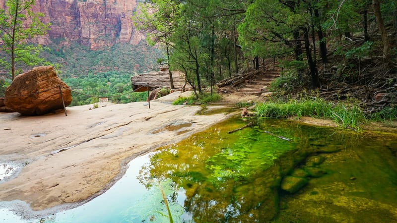 A waterfall cascading down striated red sandstone canyon walls in Zion National Park