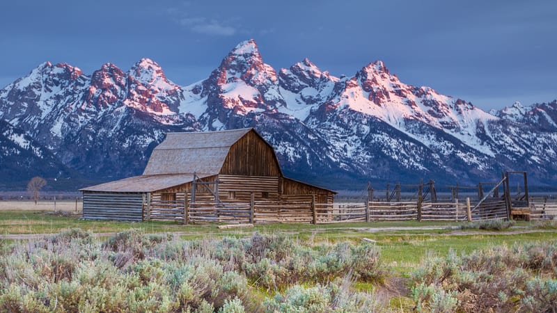 Mormon Row