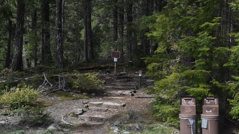 A forested trail entrance at what appears to be Mount Rainier National Park, featuring stone steps leading up into a dense conifer forest with a brown Nation…