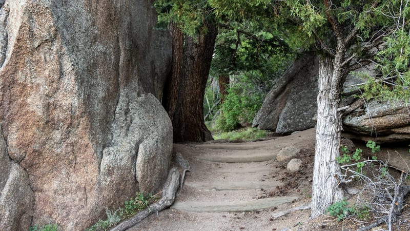 A dirt trail passes between a large granite boulder on the left and a twisted juniper tree on the right, with steps cut into the earth leading into a shaded …