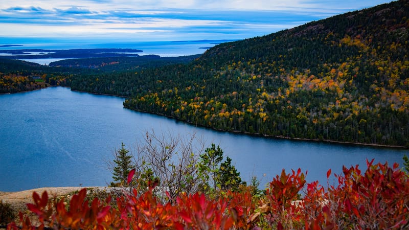 Jordan Pond & The Bubbles
