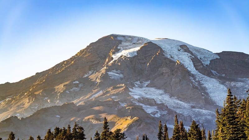 Upper volcanic slopes of Mount Rainier with glaciers on the right flank and warm sunlight on the rocky western face, viewed from Paradise with subalpine firs…
