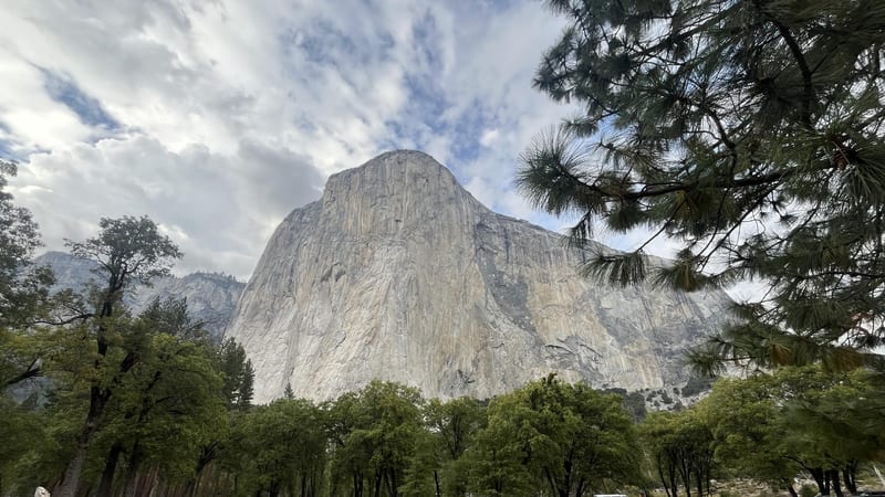 El Capitan's massive granite face dominates the frame from Yosemite Valley floor, viewed across an open meadow with scattered pines and deciduous trees in th…