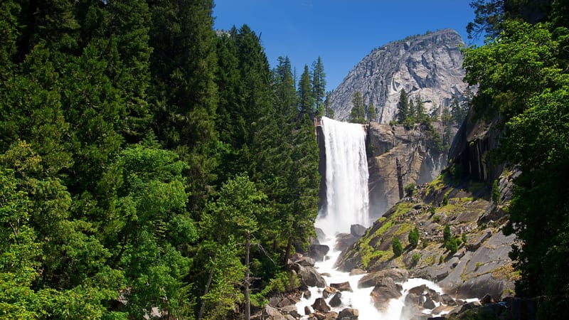 A large waterfall drops from a granite cliff into a white-water rocky river, flanked by green forest trees and a gray granite dome visible in the background.