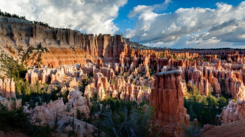 A sweeping amphitheater of densely packed hoodoos in shades of orange, red, and white fills the frame at Bryce Canyon National Park, with warm afternoon ligh…