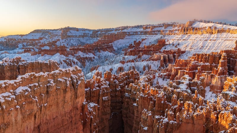 Hikers walk along a pale sandstone trail through Bryce Canyon's amphitheater, surrounded by tall orange-red hoodoos, evergreen pines, and layered canyon wall…