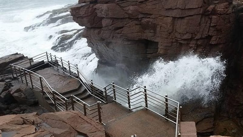 Premium Narrated Bus Tour of Bar Harbor and Acadia National Park (3.5 Hours)