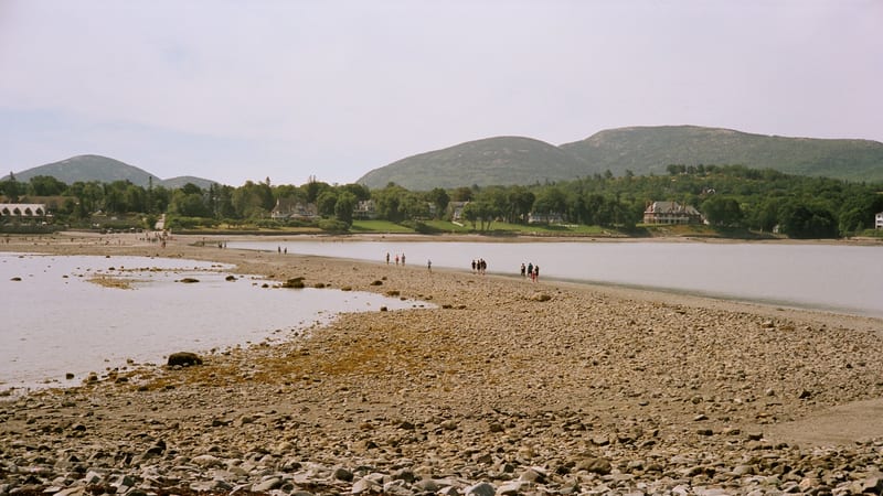 A rocky tidal flat at low tide stretches toward a calm estuary, with small groups of visitors walking along the exposed sandbar.