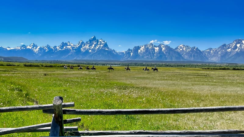 A summer meadow below the peaks of Grand Teton National Park