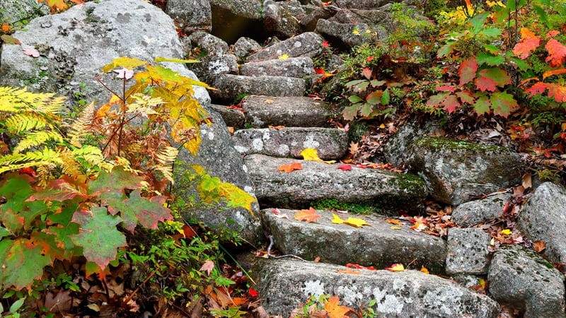 Stone steps ascend a forested hillside trail surrounded by fall foliage in red, orange, and yellow, with sunlight filtering through the trees at the top.