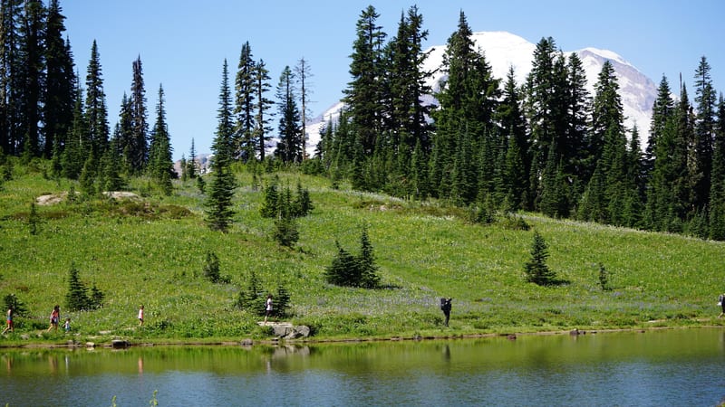 Tipsoo Lake