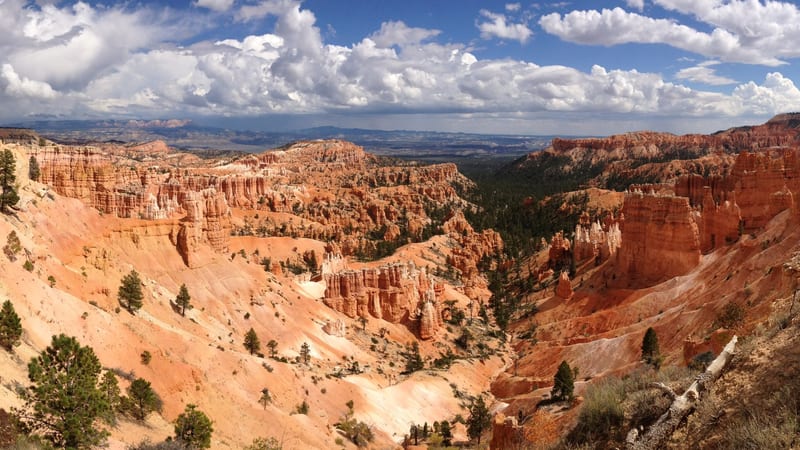 Red-orange sandstone hoodoos and canyon walls at Bryce Canyon National Park are silhouetted against a vivid Milky Way core rising over the horizon, with pine…
