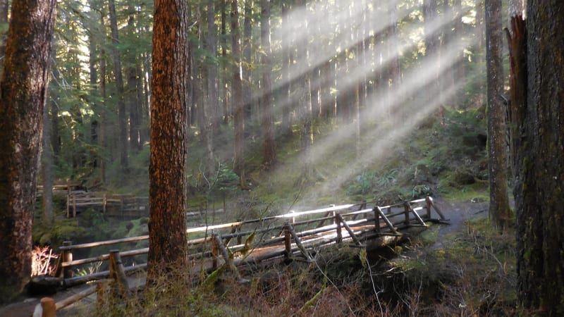 Sol Duc Falls