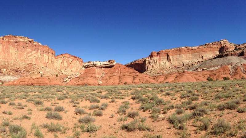 A historic pioneer farmstead with a rustic wooden barn and fenced pastures sits beneath towering red sandstone cliffs in Capitol Reef National Park, Utah.