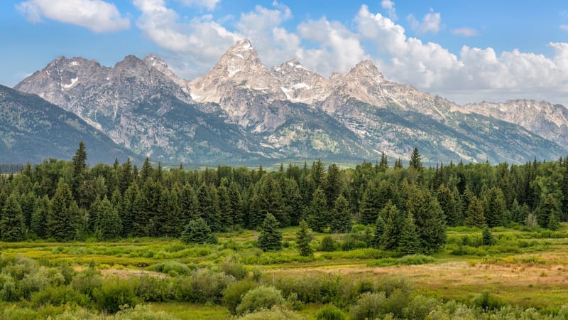 Blacktail Ponds Overlook