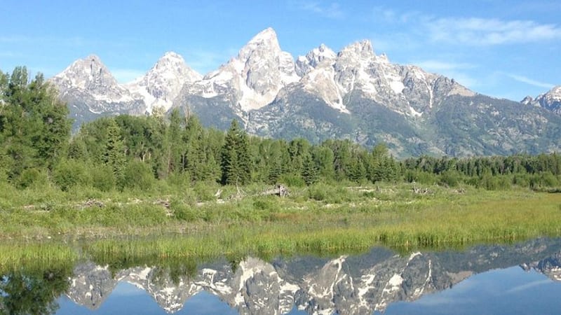 Grand Teton National Park - Full-Day Guided Tour from Jackson Hole