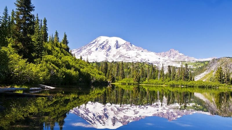 Ultimate Mount Rainier National Park Self-Guided Driving Tour