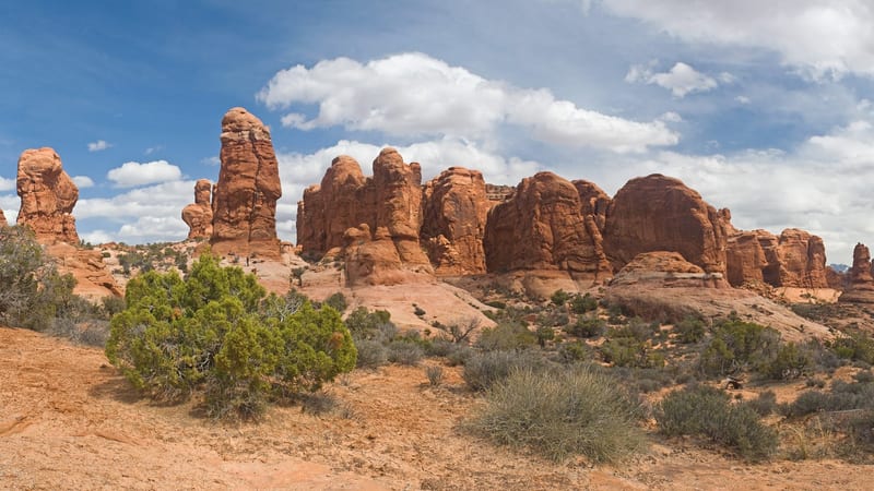 Panorama Point
