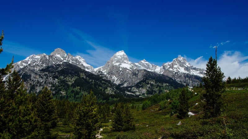 A dirt hiking trail winds through subalpine meadows and conifer forest toward the jagged, snow-capped peaks of the Teton Range under a deep blue summer sky.