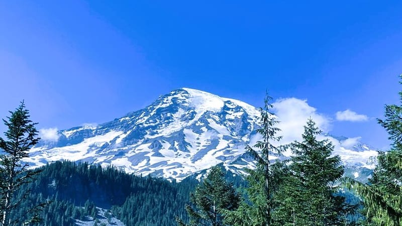 Mount Rainier Customized Tour from Seattle