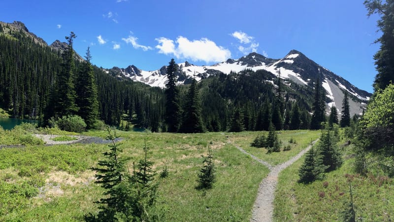 A dirt trail forks in a green subalpine meadow with a turquoise lake to the left, dense evergreen forest ahead, and snow-patched mountain peaks rising under …