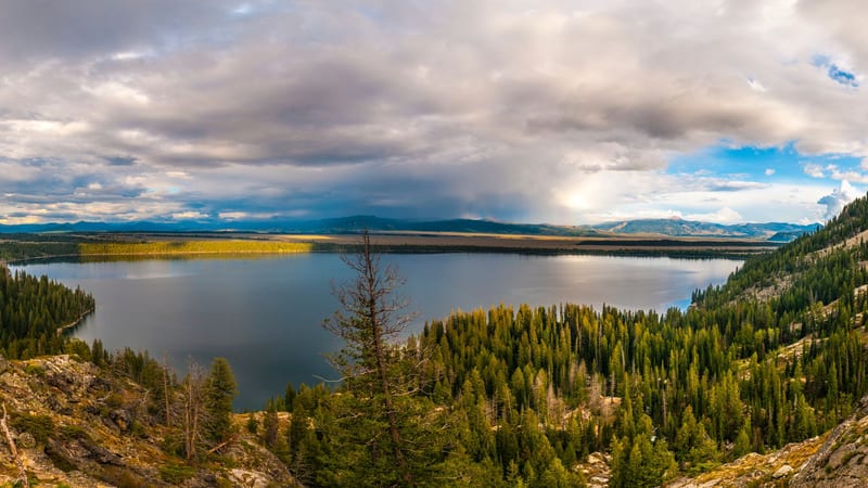 Jackson Lake Overlook