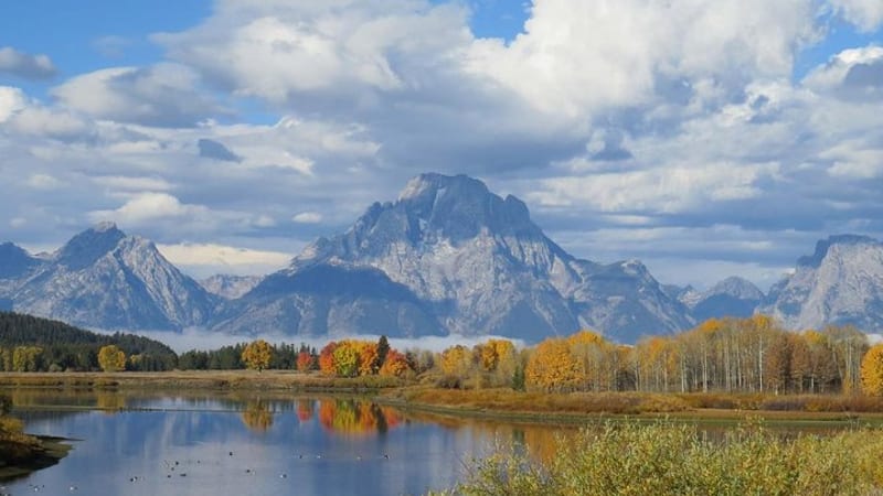 Grand Teton National Park - Sunset Guided Tour from Jackson Hole